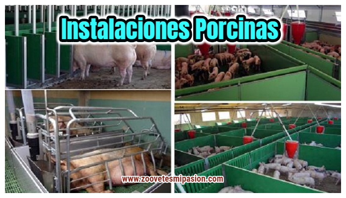 Instalaciones porcinas