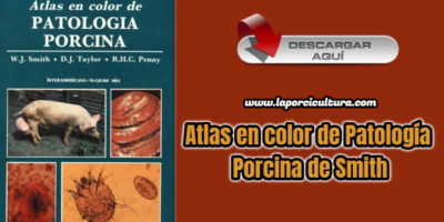 Atlas en color de Patología Porcina de Smith