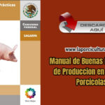 Manual De Buenas Practicas De Produccion En Granjas Porcicolas Pdf