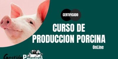 Curso de Produccion porcina