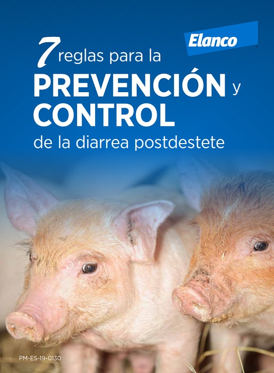 Prevenir la Diarrea Postdestete en Cerdos