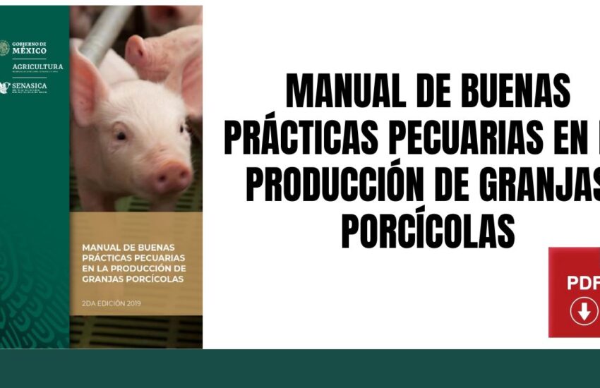 Manual de Buenas Prácticas Pecuarias en la Producción de Granjas Porcícolas