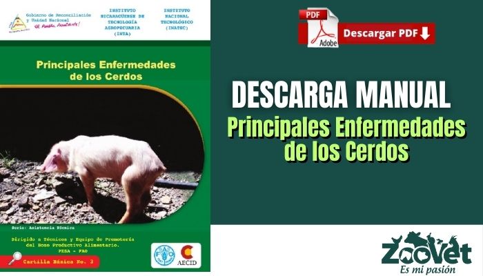 Principales Enfermedades de los Cerdos