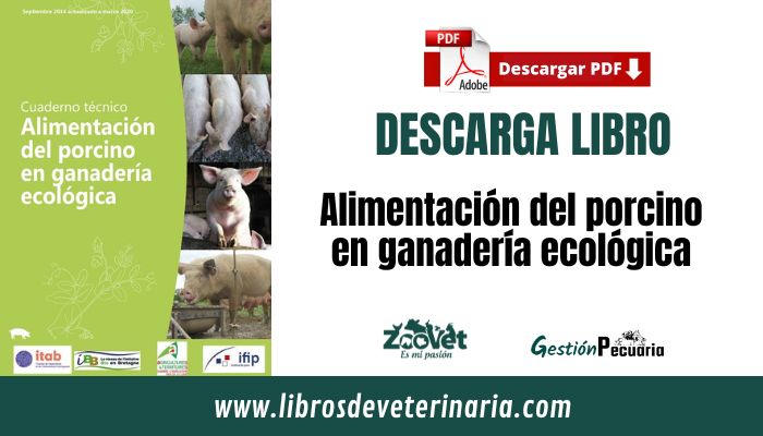 Alimentación del porcino en ganadería ecológica