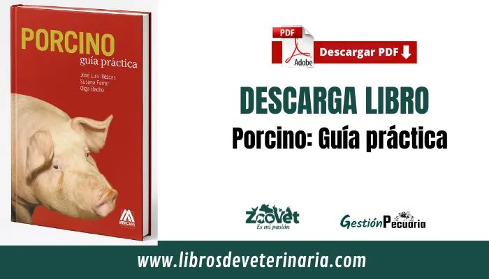 Porcino Guía práctica
