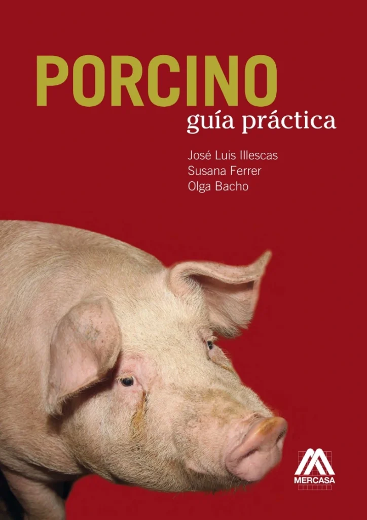 Porcino Guía práctica
